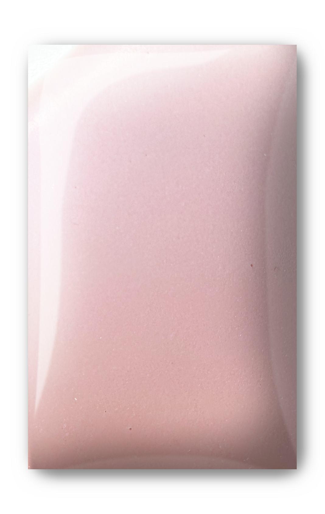 Light Elegance P+ Color Gel Polish Collection - 2026 Spring/Summer - Lost in Wonderland