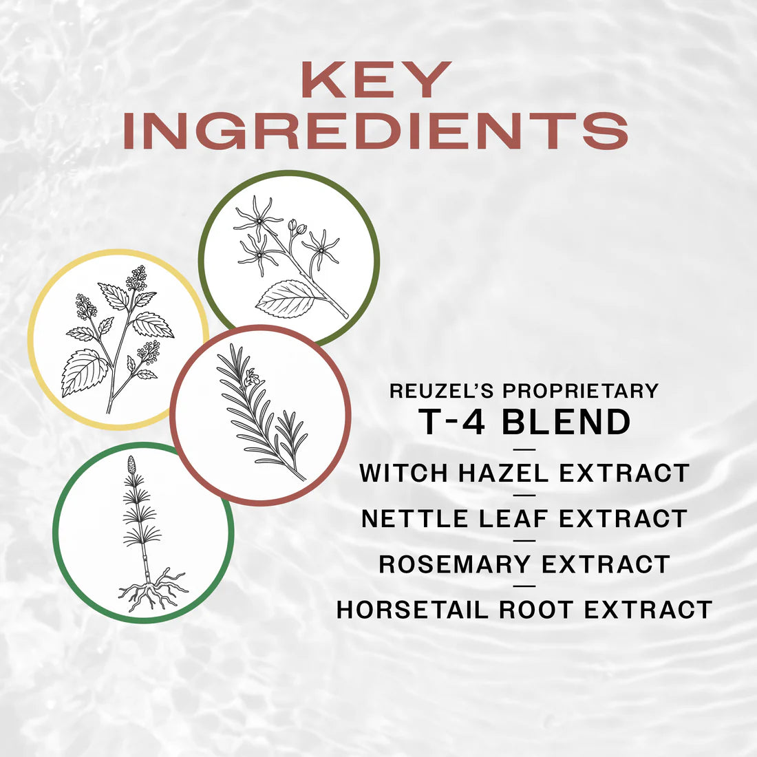 Reuzel - Daily Shampoo