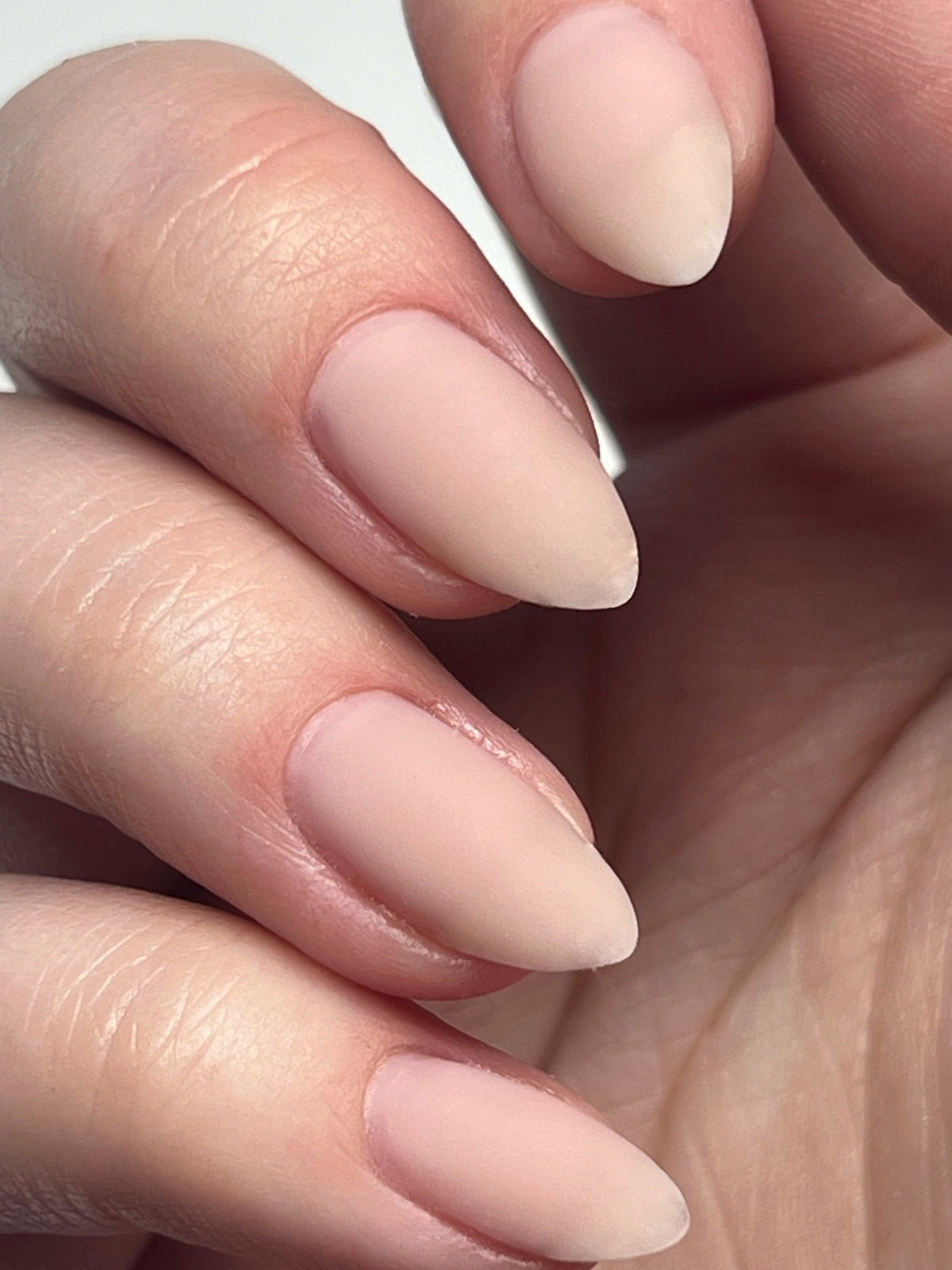 Light Elegance JimmyGel Bundle - 6 New Pink