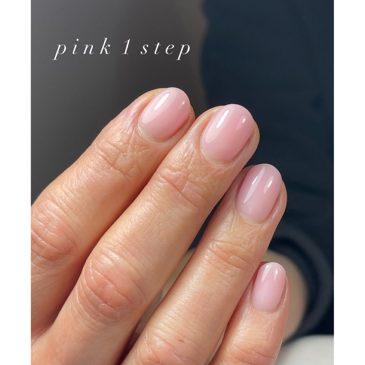 Light Elegance Lexy Line Bundle - Best Selling Pinks