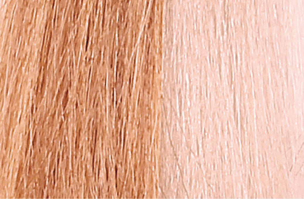 Baco Color Glaze - By Kaaral