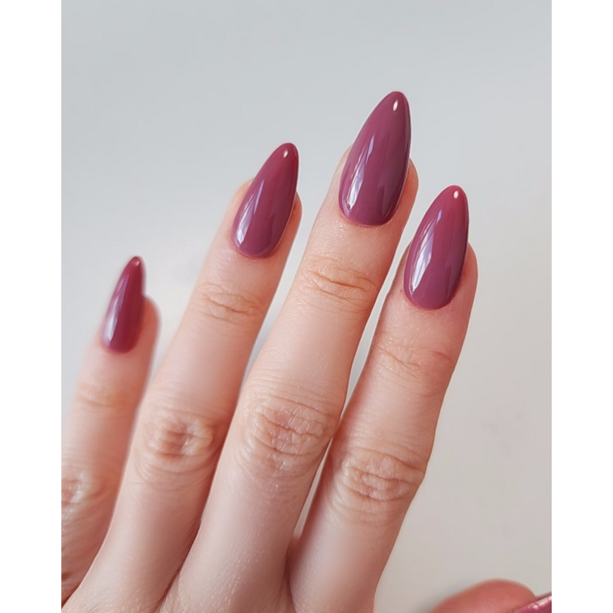 Light Elegance ButterCream - Rosey Posey