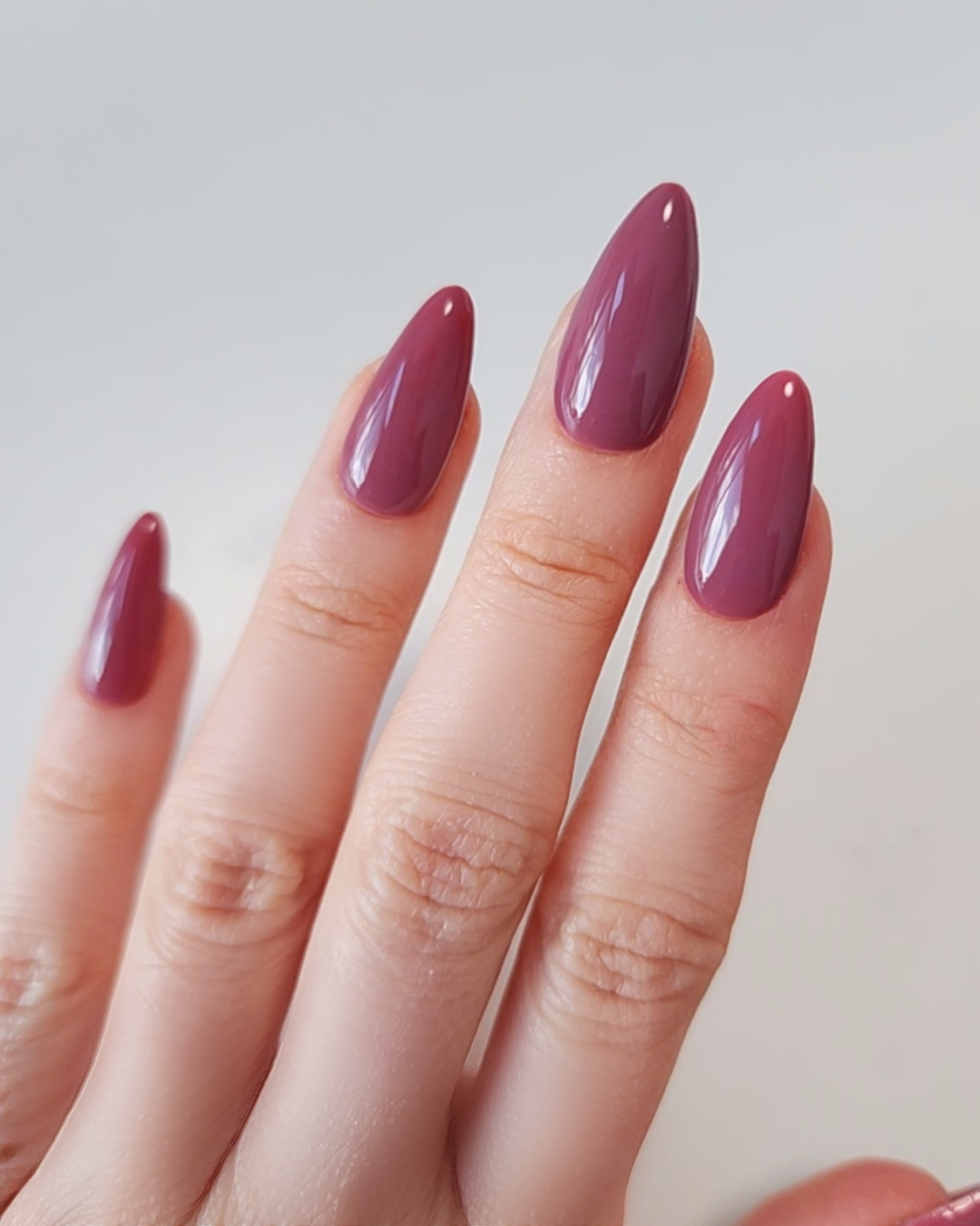 Light Elegance ButterCream - Rosey Posey