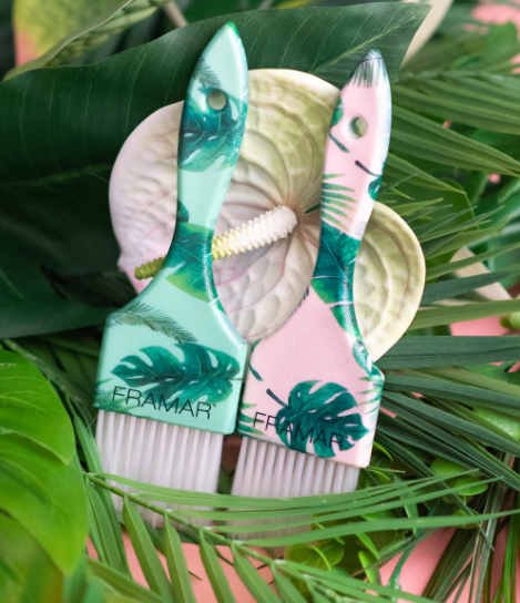 Framar Color Brush - Palmshell Power Painter - Creata Beauty - Professional Beauty Products